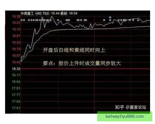 体育竞猜官网：全方位分析与策略指南助您轻松赢得胜利